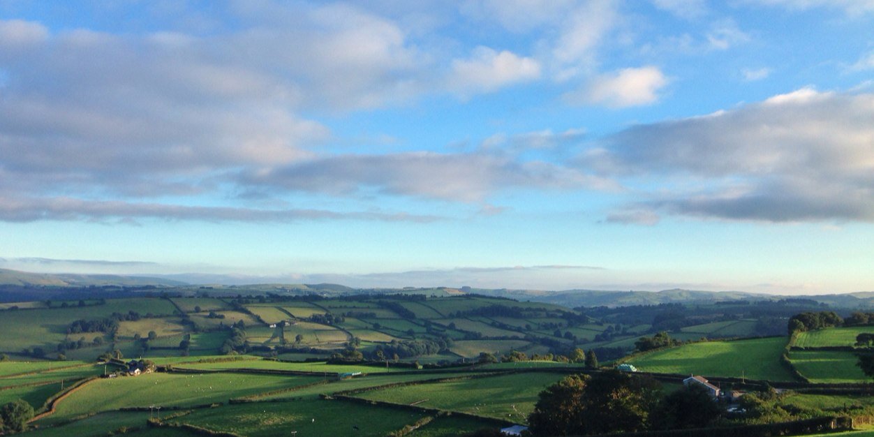 bethlumley2's profile banner image