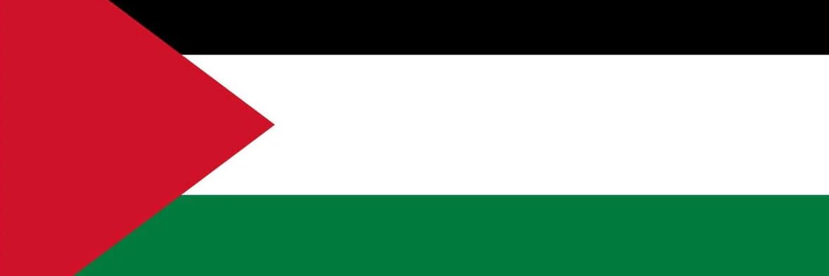 pfizer (thats not my name) 🇵🇸 banner