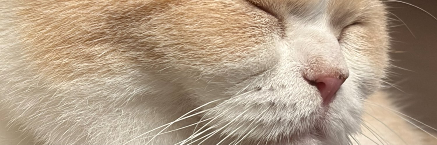 88iyasaka's profile banner image