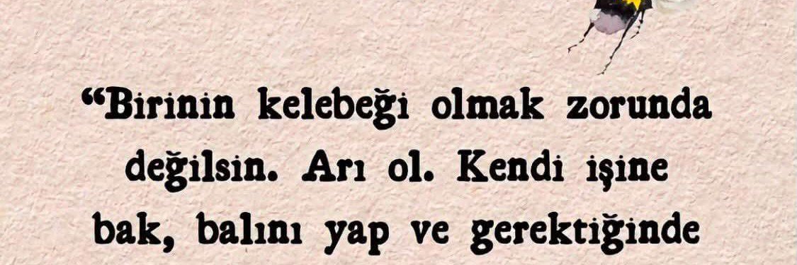 Mehmetdyot's profile banner image