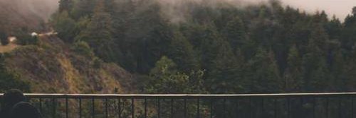 opzrnim's profile banner image