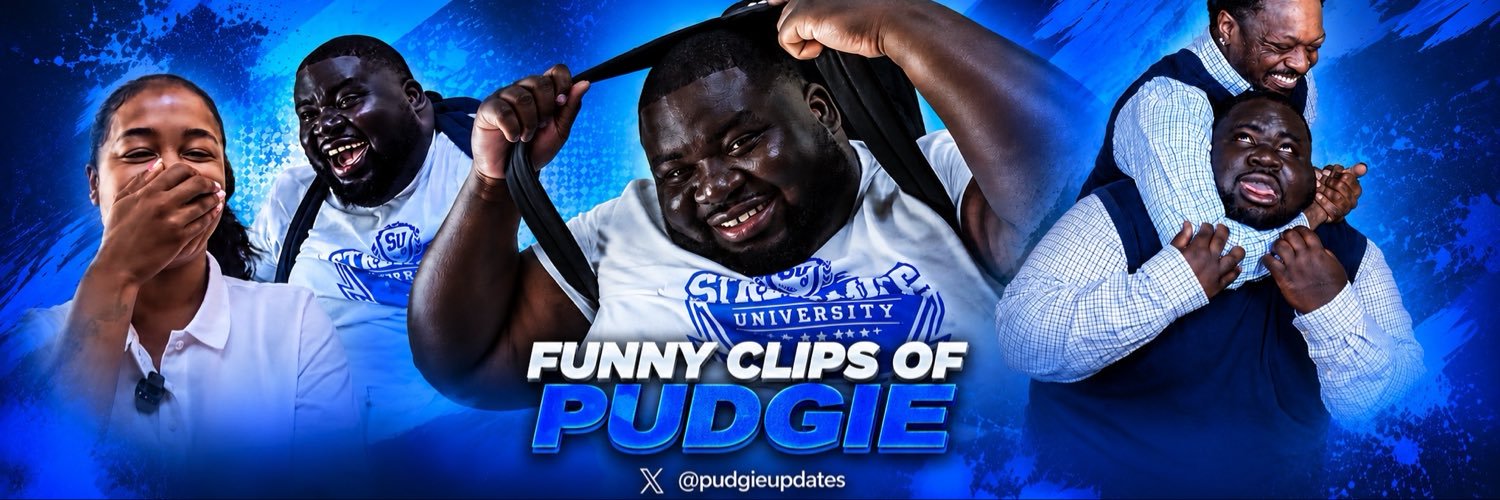 Pudgie Updates banner