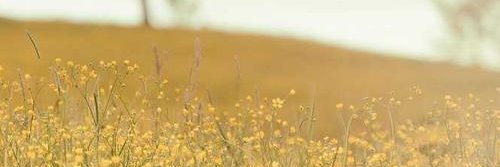 hseteb's profile banner image