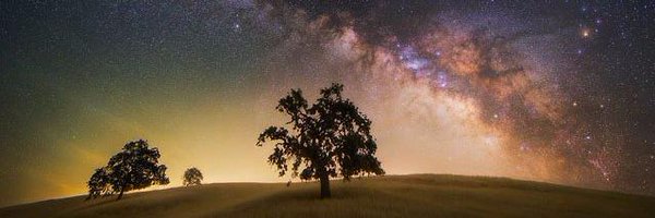 AppleTMBini Profile Banner