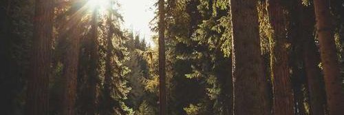 hjssda's profile banner image