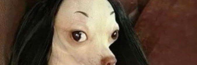 Pawswithbria's profile banner image