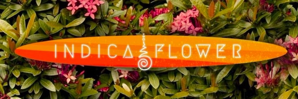 Indicaflowervv's profile banner image