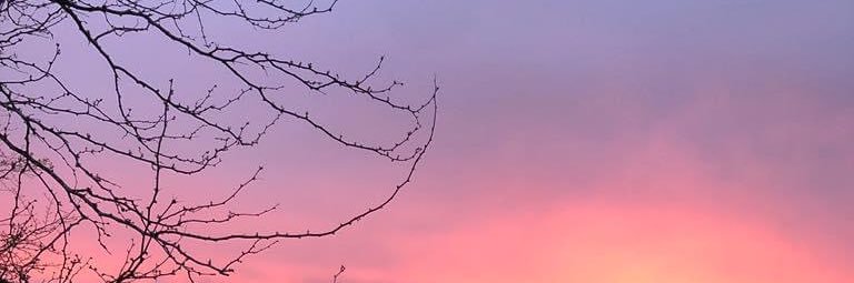 gladiollaaa13_'s profile banner image