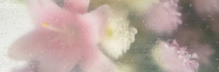 chyiofairy's profile banner image