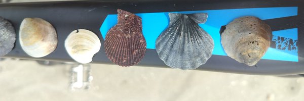 RaduTiciu Profile Banner