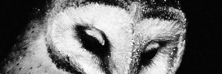 Batyangl's profile banner image