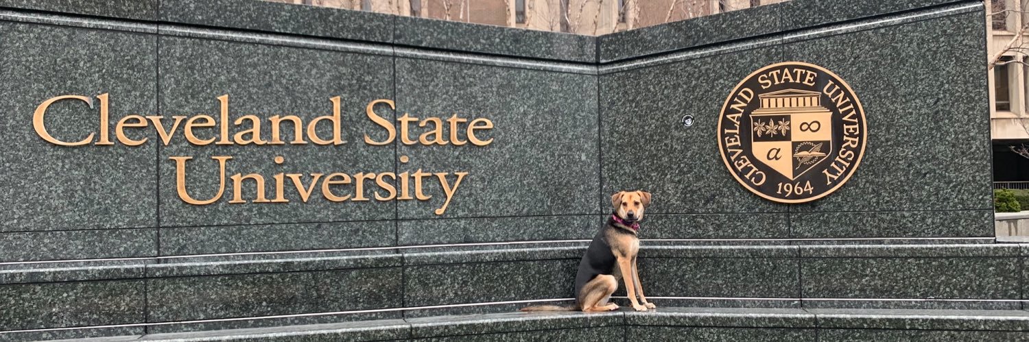 CSU School of COM banner