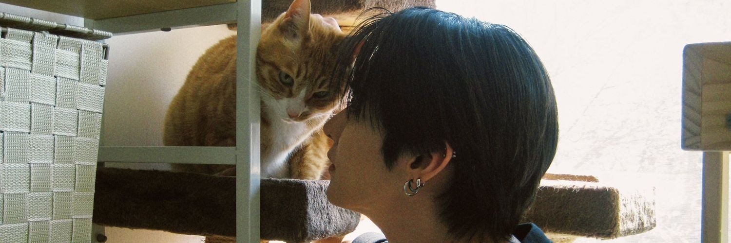 linitomiin's profile banner image