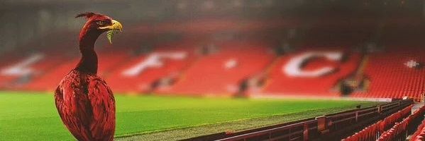 syakir_'s profile banner image