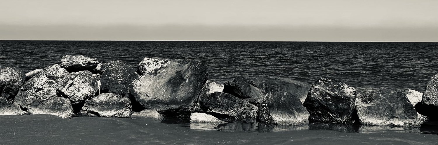MarcoPedrina's profile banner image