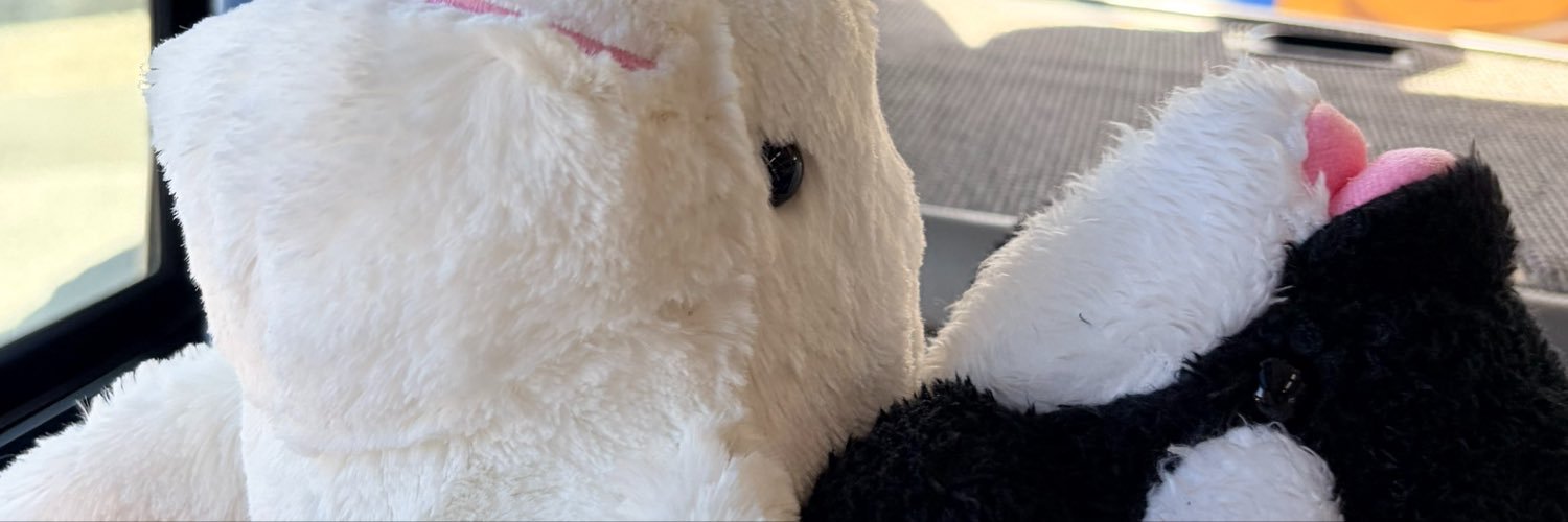 cyilTesla's profile banner image