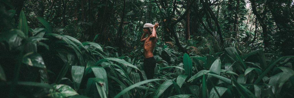 Imperial Motion banner