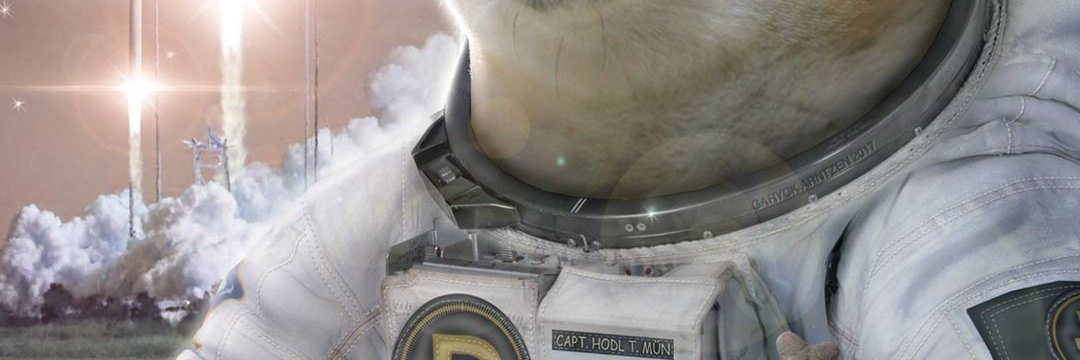 sandraqN3Jr1gBE's profile banner image