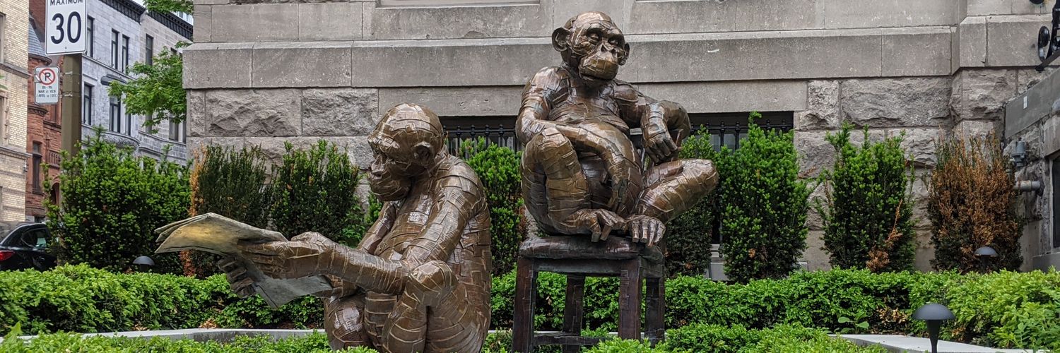 Andrew Bailey banner