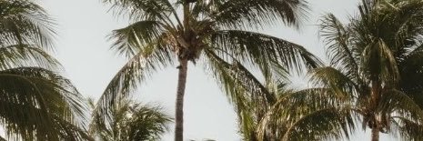 Chelz_68's profile banner image