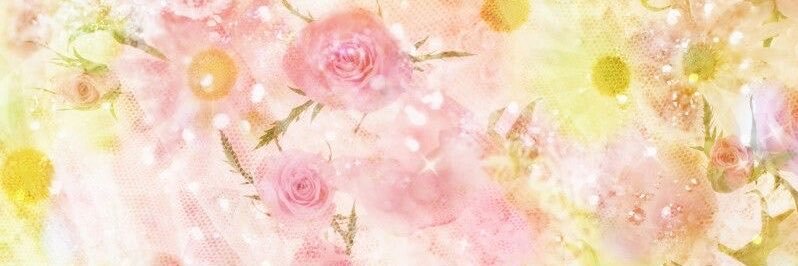 bluerosun's profile banner image