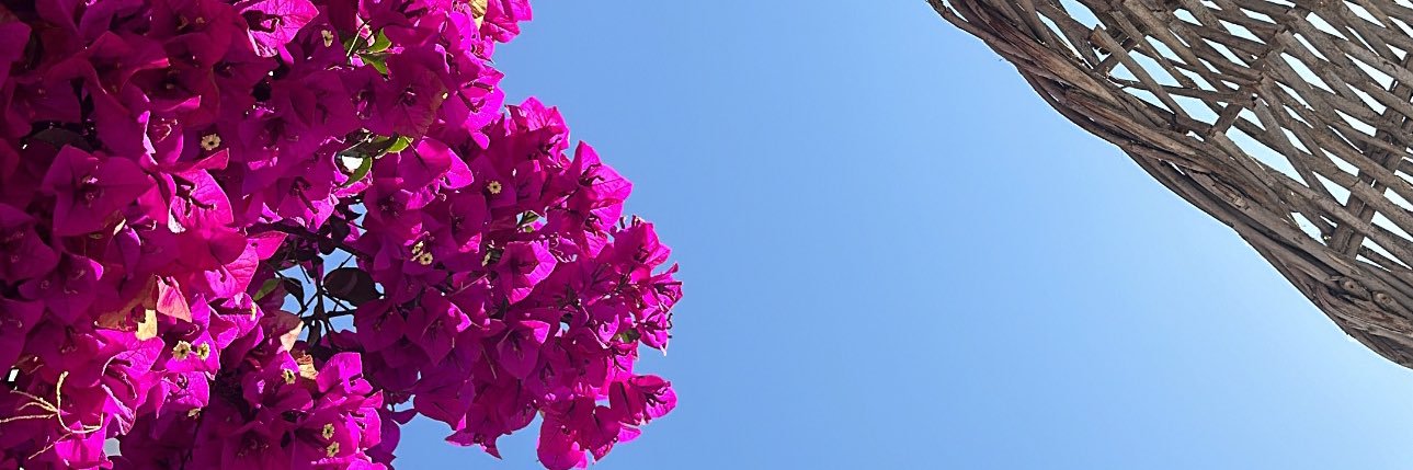 canisimoo's profile banner image