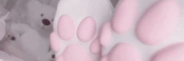 puplilli's profile banner image