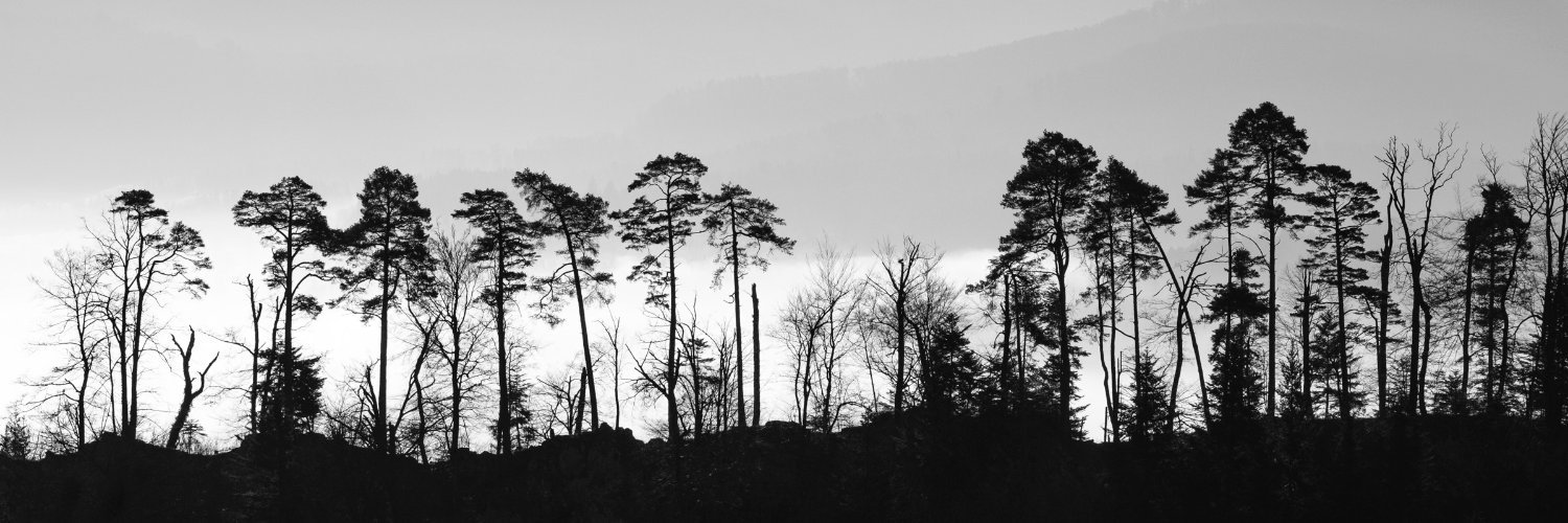 fjerilart's profile banner image