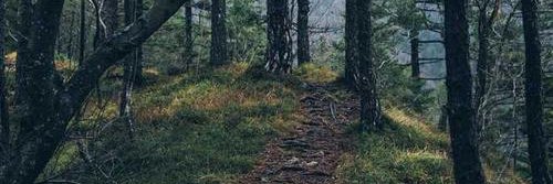 wdkcmlv's profile banner image