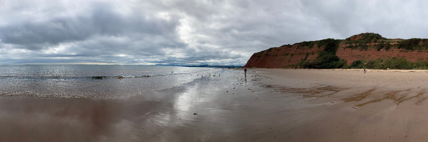 Daniel Vaughan banner