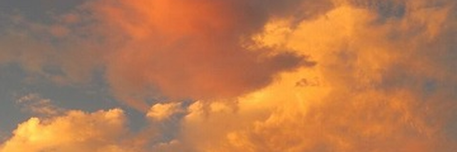 JordynCollfk's profile banner image