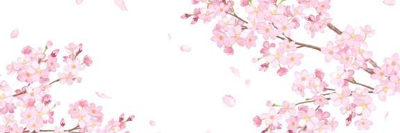 lele_xmz's profile banner image