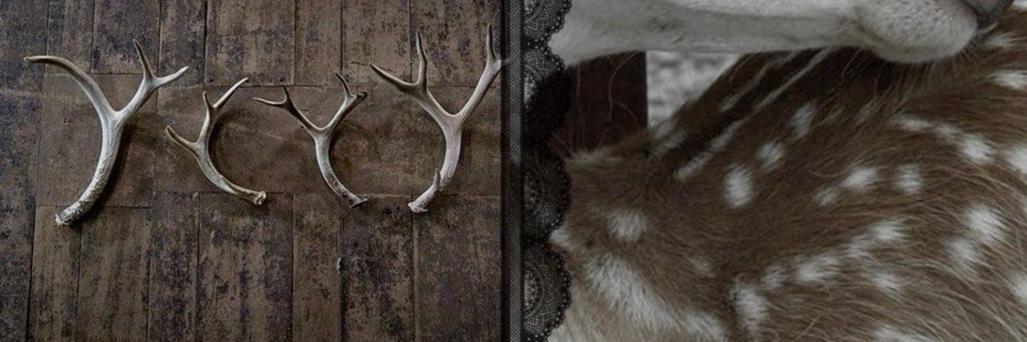 taybrinap's profile banner image