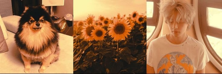 museumkth's profile banner image