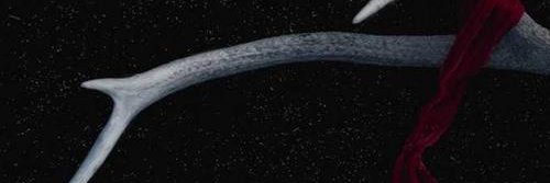 eyuqueq's profile banner image
