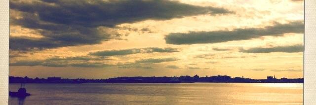 alecjankowski's profile banner image