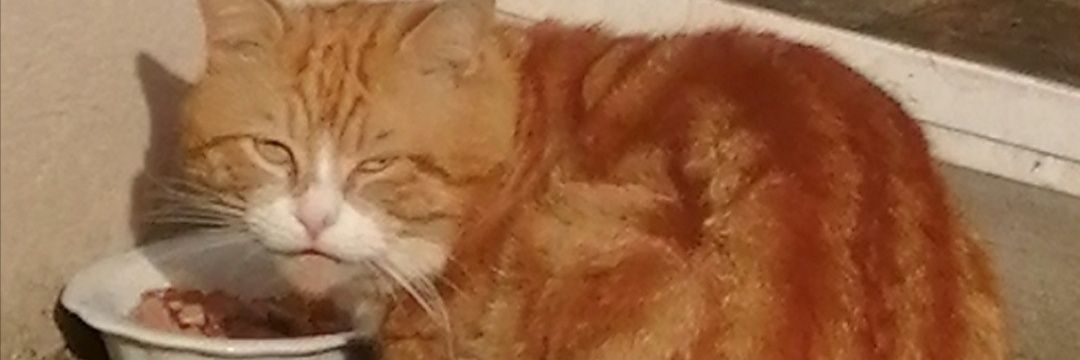 Pab__'s profile banner image