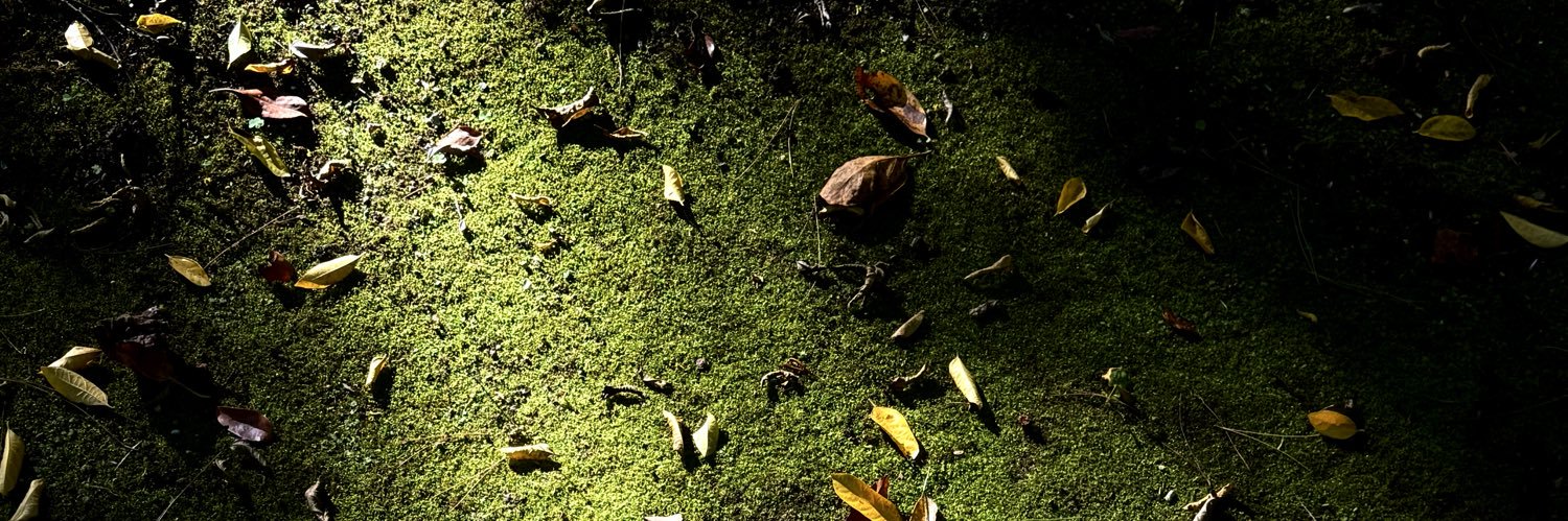 yskzz121's profile banner image