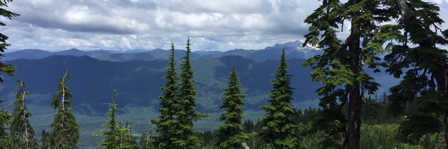 KimLessley's profile banner image