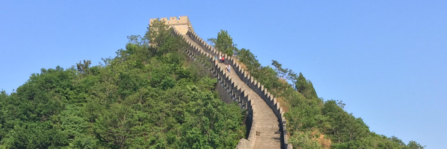 Roger Vicente banner