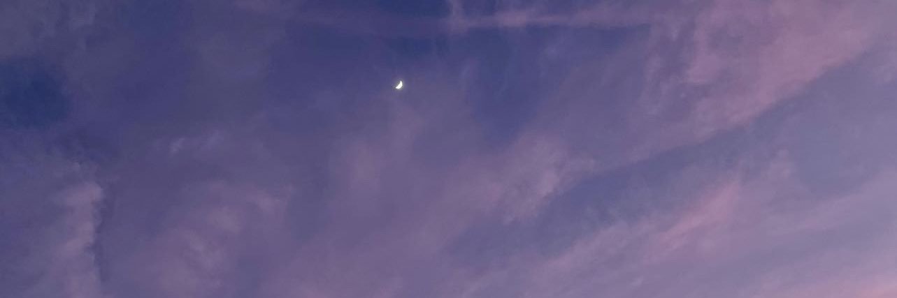 DebSedgwickS's profile banner image
