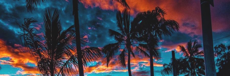 Gio_Witwicky's profile banner image