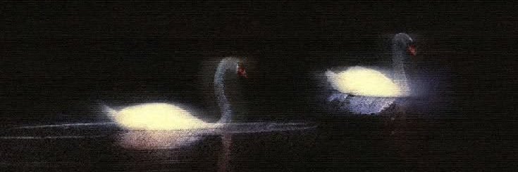 nyx27i's profile banner image