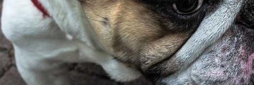 ucitqj's profile banner image