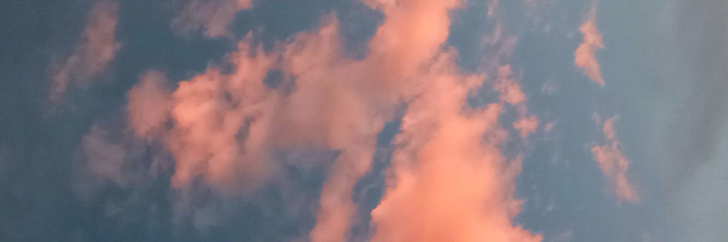 MariaanaSalas's profile banner image
