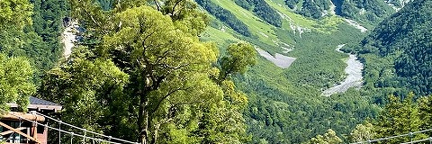CallieBarrchoy's profile banner image
