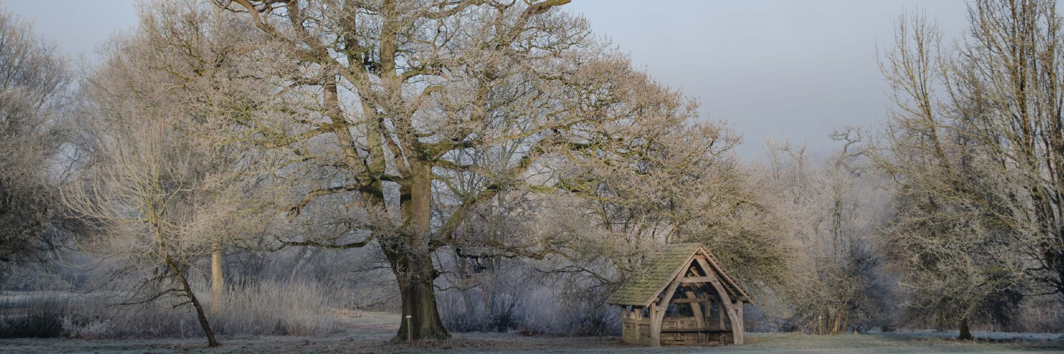 YorksArboretum's profile banner image