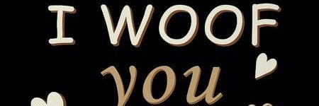 DogMom4f8's profile banner image
