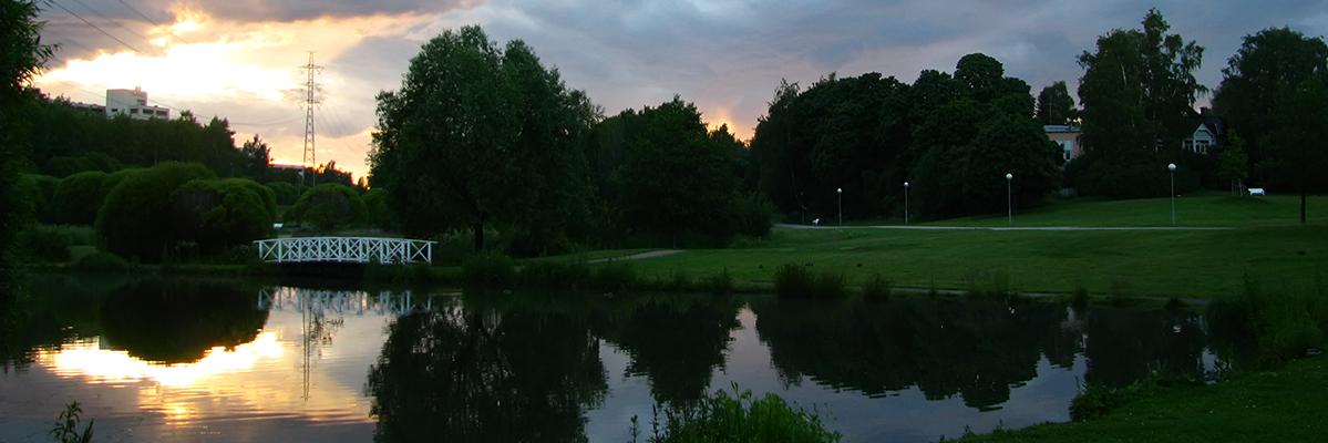 Suvi Staudinger banner