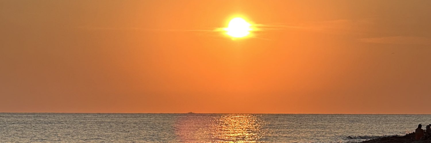 🦩Lisa Pickard 🦩 banner